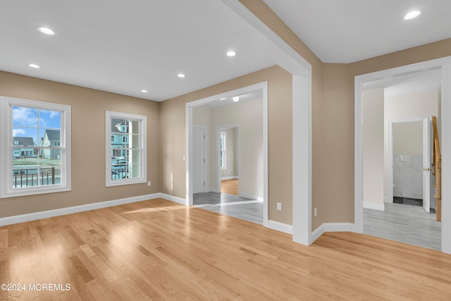 interior space featuring light wood-type flooring and a spacious closet