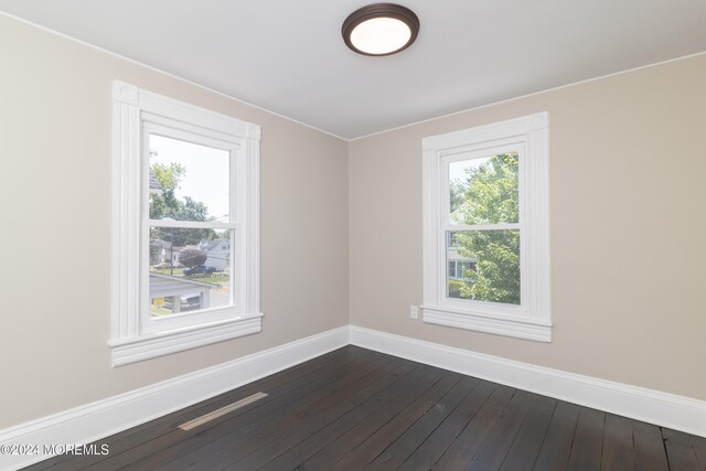 unfurnished room with wood-type flooring and a wealth of natural light