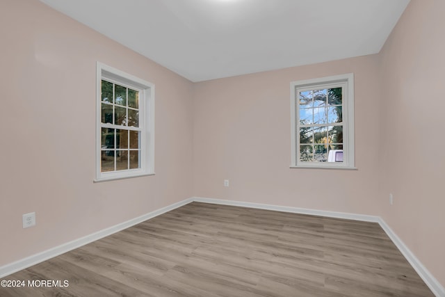 spare room with light hardwood / wood-style flooring and a healthy amount of sunlight