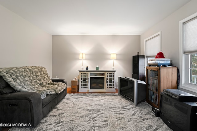 living room featuring a fireplace and wood-type flooring