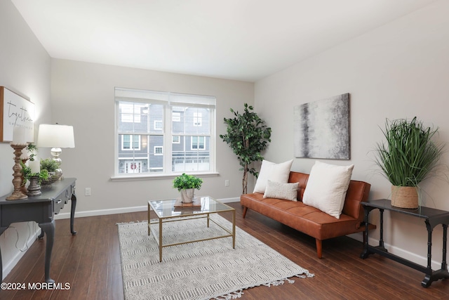 living area featuring dark wood-type flooring