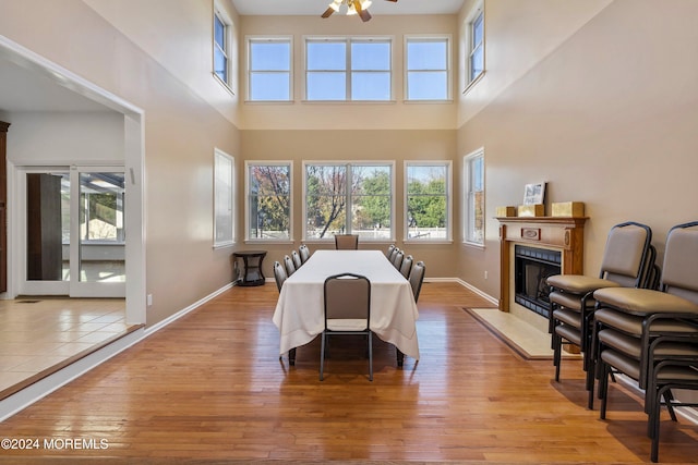 dining area with ceiling fan, light hardwood / wood-style flooring, and plenty of natural light