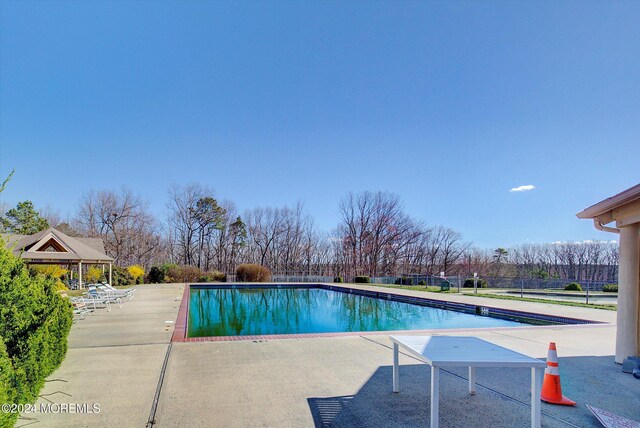 1801 Lilly Ln, Jackson, NJ 08527 - view of swimming pool with a patio