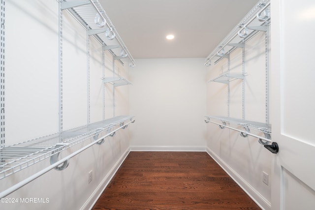 spacious closet with dark wood-type flooring