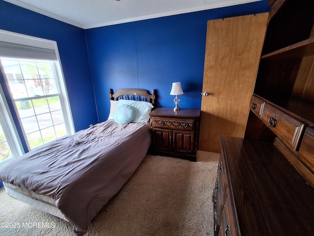 32 Village Rd, Morganville, NJ 07751 - bedroom featuring carpet flooring