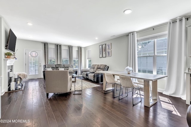 living area with a fireplace, dark wood finished floors, and a healthy amount of sunlight