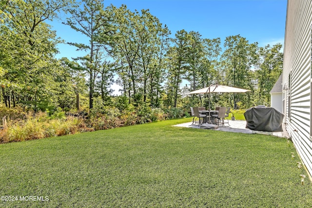 view of yard with a patio