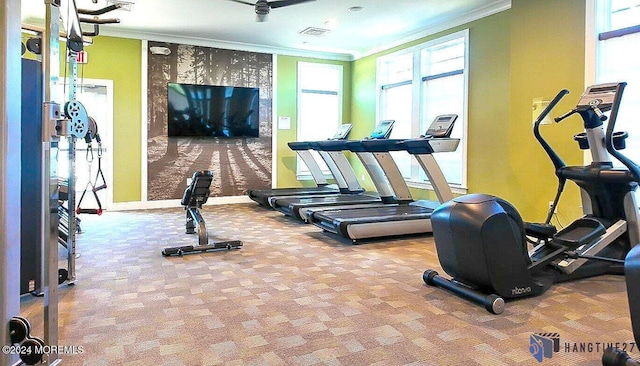 gym with baseboards, visible vents, crown molding, and carpet flooring