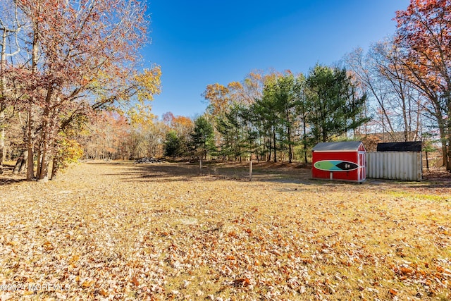 view of yard with a storage shed