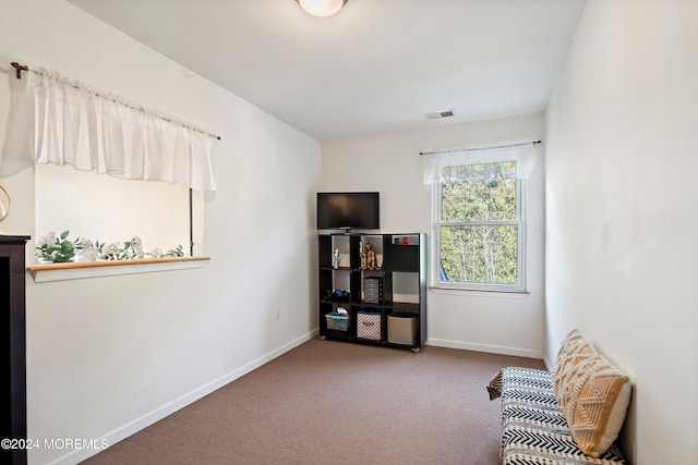 living area featuring light colored carpet