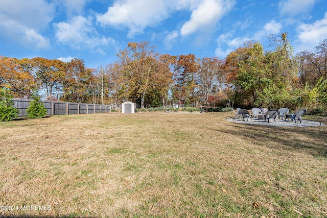 view of yard featuring a shed