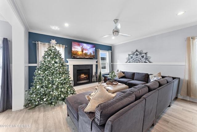 living room featuring light hardwood / wood-style floors, ceiling fan, and crown molding