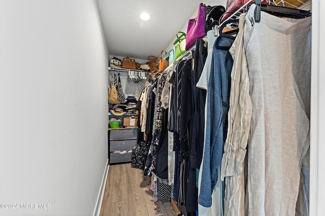 walk in closet featuring wood-type flooring