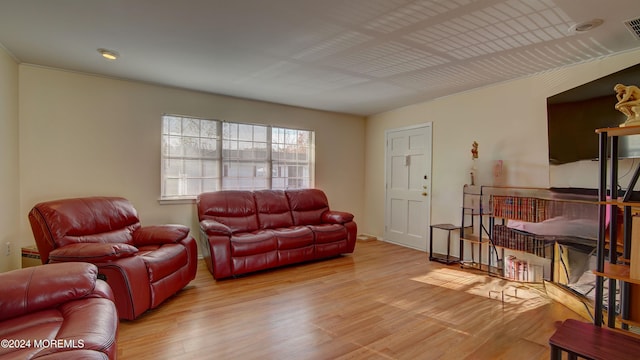 living room featuring light wood-type flooring