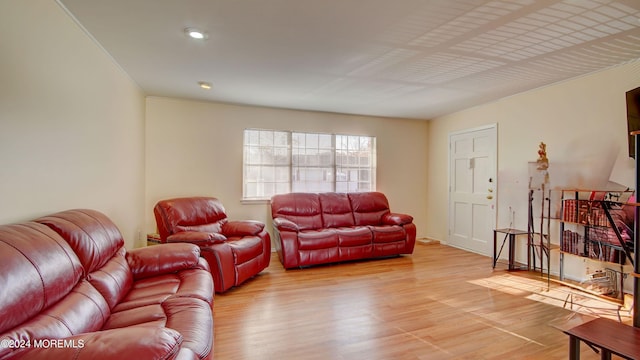 living room featuring hardwood / wood-style floors