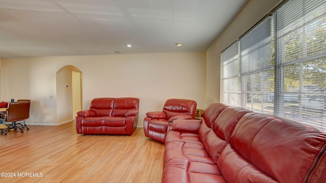 living room featuring light hardwood / wood-style flooring