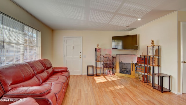 living room with hardwood / wood-style floors