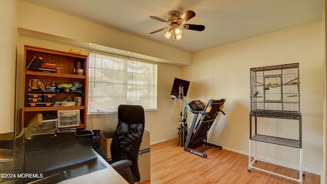 home office featuring ceiling fan and light hardwood / wood-style flooring