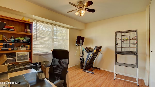 office area featuring ceiling fan and light hardwood / wood-style flooring