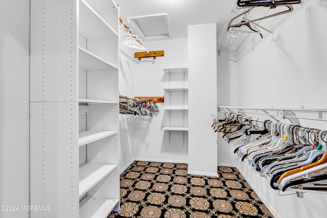 view of walk in closet