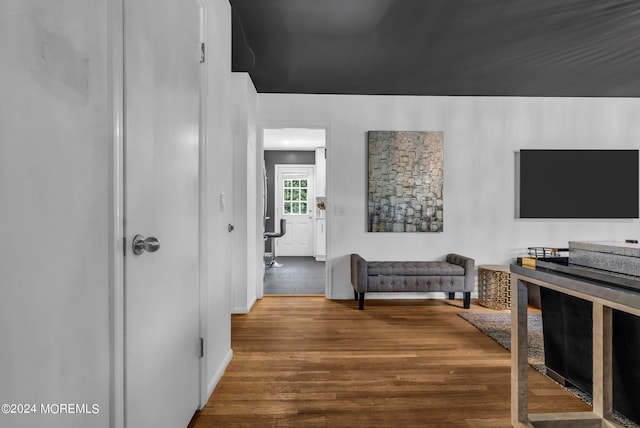 hallway featuring wood-type flooring