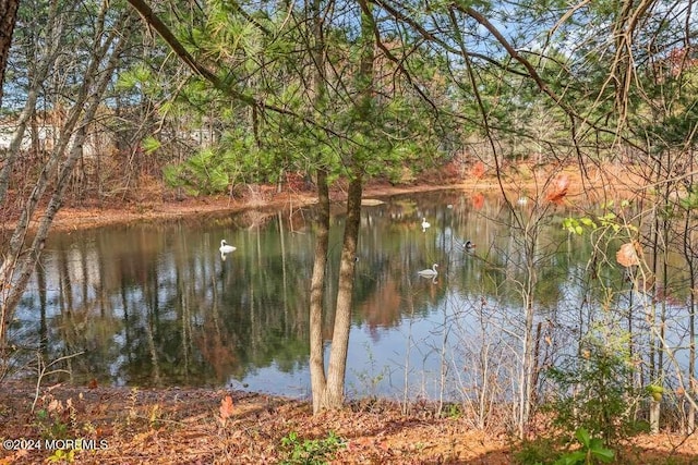 view of water feature