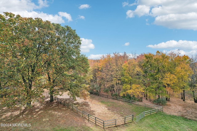 view of yard with a rural view