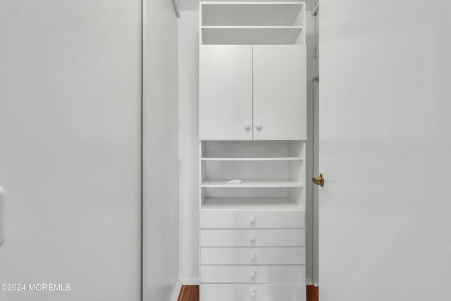 view of closet