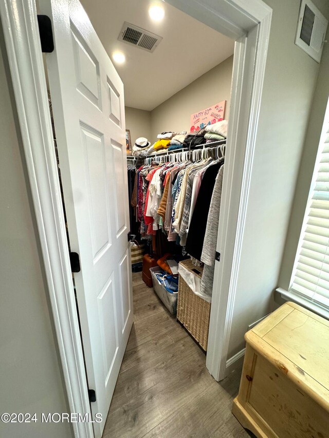 spacious closet featuring wood-type flooring