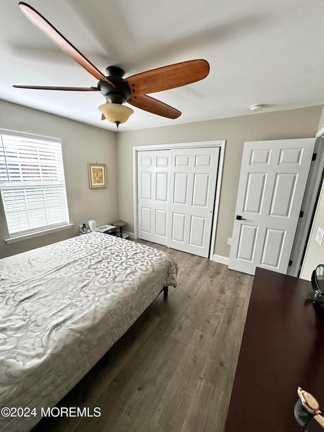 bedroom featuring a closet, ceiling fan, and dark wood-type flooring