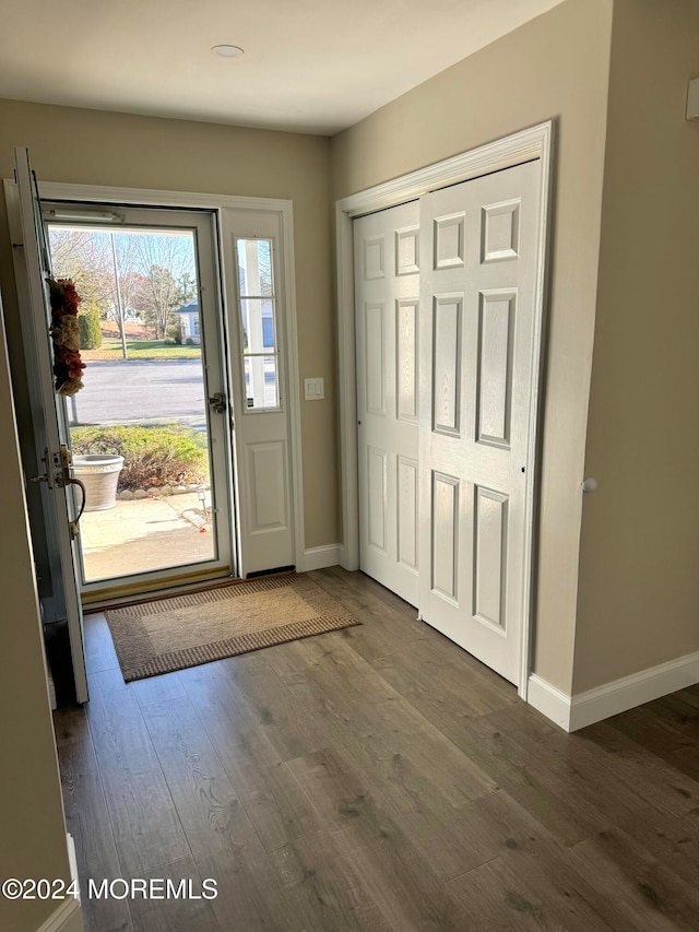 foyer with dark hardwood / wood-style floors