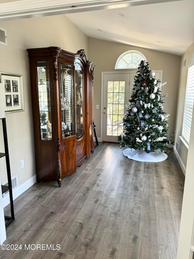 entryway with hardwood / wood-style flooring