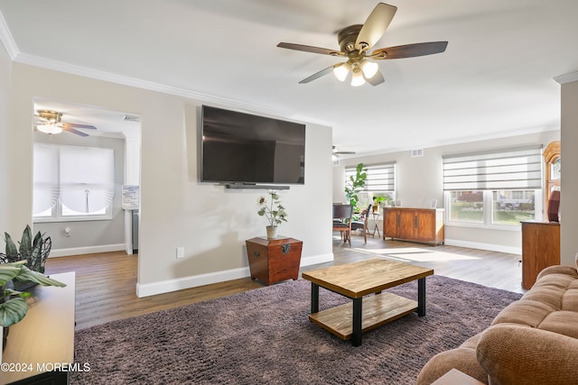 living room featuring ceiling fan, wood-type flooring, and ornamental molding