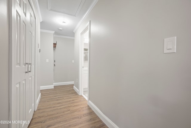 corridor featuring crown molding and light wood-type flooring