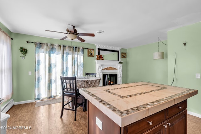 kitchen featuring plenty of natural light, light hardwood / wood-style floors, and dark brown cabinetry