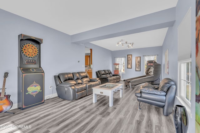 living room featuring light hardwood / wood-style flooring