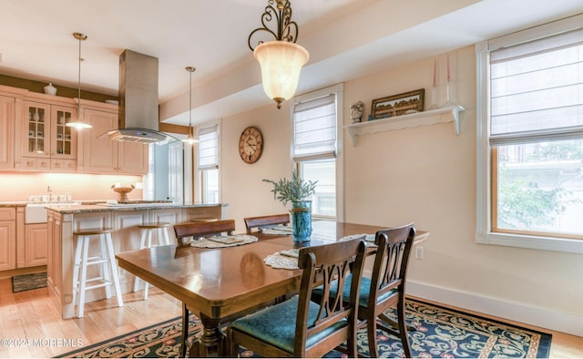 dining space with a healthy amount of sunlight, sink, and light hardwood / wood-style flooring