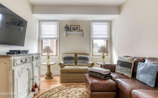 living room featuring light hardwood / wood-style floors and a wealth of natural light