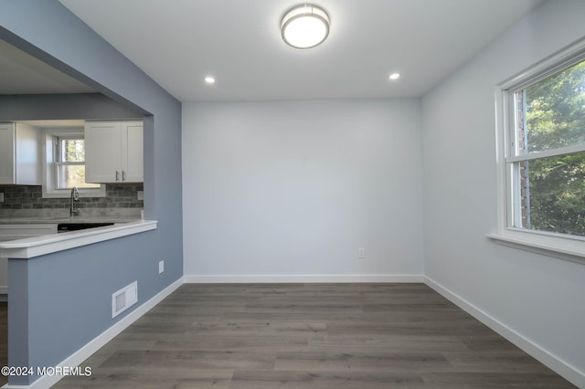 unfurnished dining area with sink and dark wood-type flooring