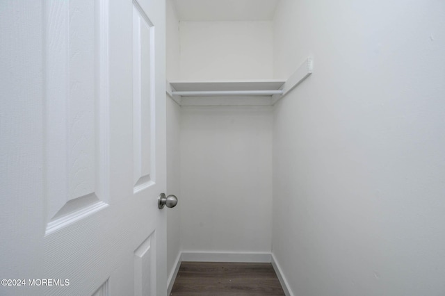 spacious closet with hardwood / wood-style flooring