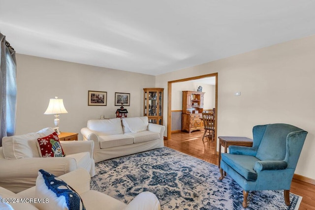 living room featuring hardwood / wood-style floors