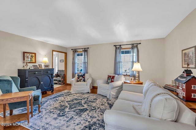 living room with hardwood / wood-style floors