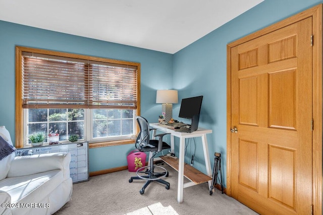 office area featuring light colored carpet