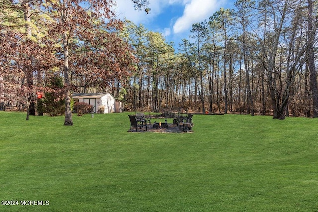 view of yard with a storage shed