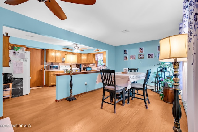 dining room with light hardwood / wood-style flooring