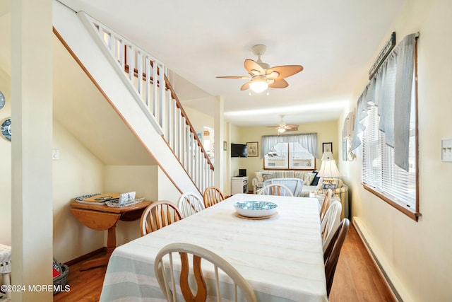 dining space featuring ceiling fan and light hardwood / wood-style flooring