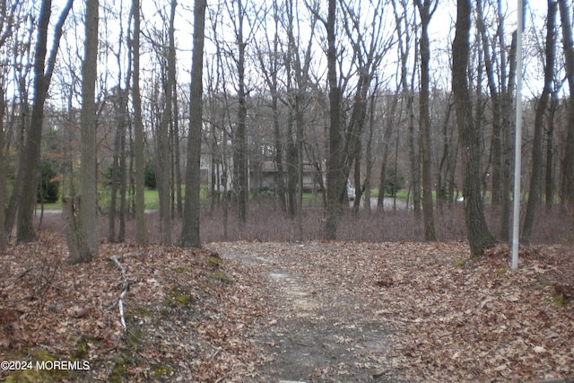 0 Falson Ln, Morganville NJ, 07751 land for sale