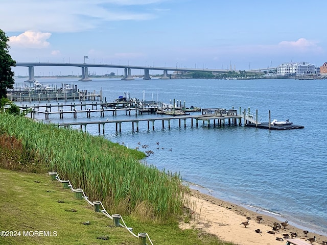 dock area with a water view