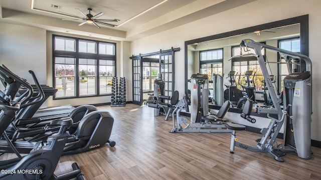 exercise room with ceiling fan, plenty of natural light, and wood-type flooring