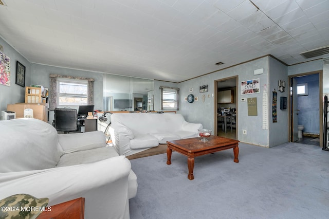 living room featuring carpet